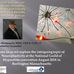 Thomas Bloomquist - Facebook