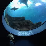 Tom Bloomquist - @tombloomquist - Instagram