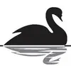 Tom Board - @tom.board - TikTok