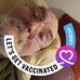 Thomas Boehm - Facebook
