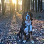 Tom Bohley - @tombohley - Instagram