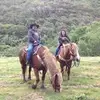 tombolin8 - @tombolin8 - TikTok