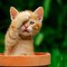 Tom Borgen - Facebook