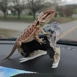 Tom Bosch - @tom.bosch.79 - Instagram