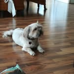 Tom Bosch - @bosch_tom07 - Instagram