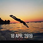 Tom van den Bosch - @tom.vandenbosch - Instagram