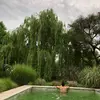 Tomas Bosch - @tomasboschd - TikTok