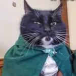 Tom Bosley - @bosley5961 - Instagram