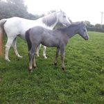 Tom Bourke - @tom.bourke.73 - Instagram