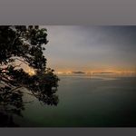 Tom Bourke - @tom_bourke98 - Instagram