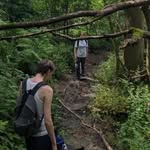 Tom Bower - @tom_bower_ - Instagram