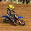 tombowering659 - @tombowering4 - TikTok