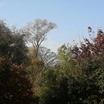 Tom Boyce - @tom_boyce07 - Instagram