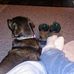Tom Boyce - Facebook