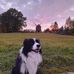 Tom Braatz - Facebook