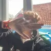 TomBrekke - @idikujjni1i - TikTok