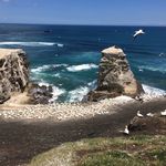 Tom Brightman - @brightman_tom - Instagram