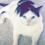 Tom Brighton - @bigboytombrighton - Instagram
