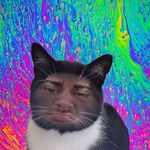 Tom - @tom.brighton - Instagram