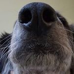 Tom Brinker - @tom.brinker - Instagram