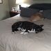 Tom Brinker - Facebook