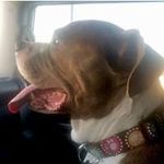 Tom Brinker - @tom.brinker.3 - Instagram