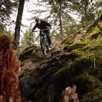 Tom Broadhead - @tomjbro - Instagram