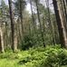 Tom Broadley - Facebook