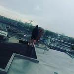 Tom Brunsveld - @tom_brunsveld05 - Instagram