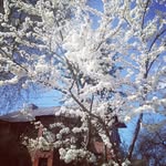 @tombry_don_ - Instagram