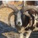 Tom Buckner - Facebook