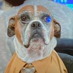 Tom Budd - @tombuddd - Instagram