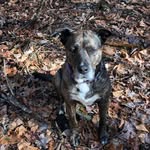 Tommy Buffington - @tommybuffington1959 - Instagram