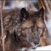 Thomas Buker - Facebook
