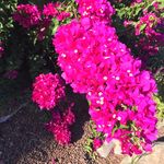 Fatma Okta - @tombullardagiyer - Instagram