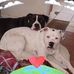 Thomas Bullard - Facebook