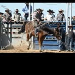 Tommy Bunch - Facebook