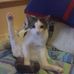 Thomas Bunton - Facebook