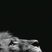 Tom Burg - Facebook