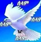 Tomas Berket - Facebook