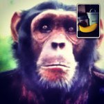 ⚠Tom  Burman⚠ - @mk1masterpiece - Instagram