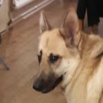 tom burnside - @tomburnside2305 - Instagram