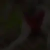 tom burrow - @tburrow0 - TikTok