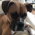 Tom Burrus - @tommyboy759 - Instagram