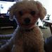 Tom Burrus - Facebook