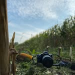 Tom Busert - @tombusert - Instagram