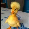 userrrrrrr - @tomb.user - TikTok
