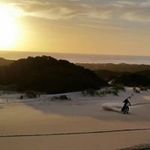 Tom Bushnell - @tombushnell8 - Instagram