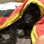 Tom Busse - @busse2956 - Instagram