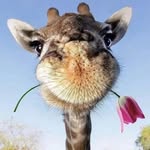 Tom Buster - @tombuster11 - Instagram